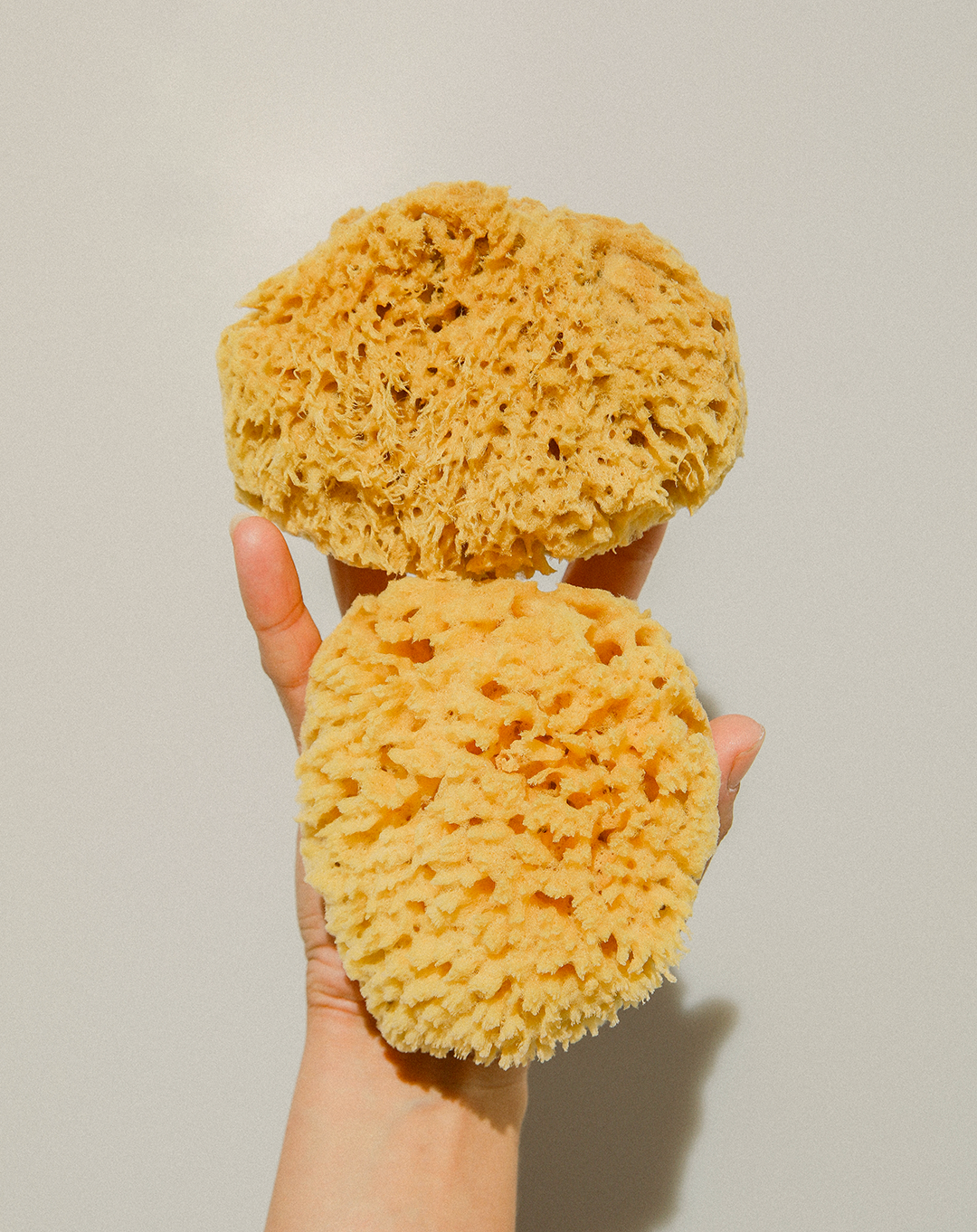 Mineral Sea Sponge